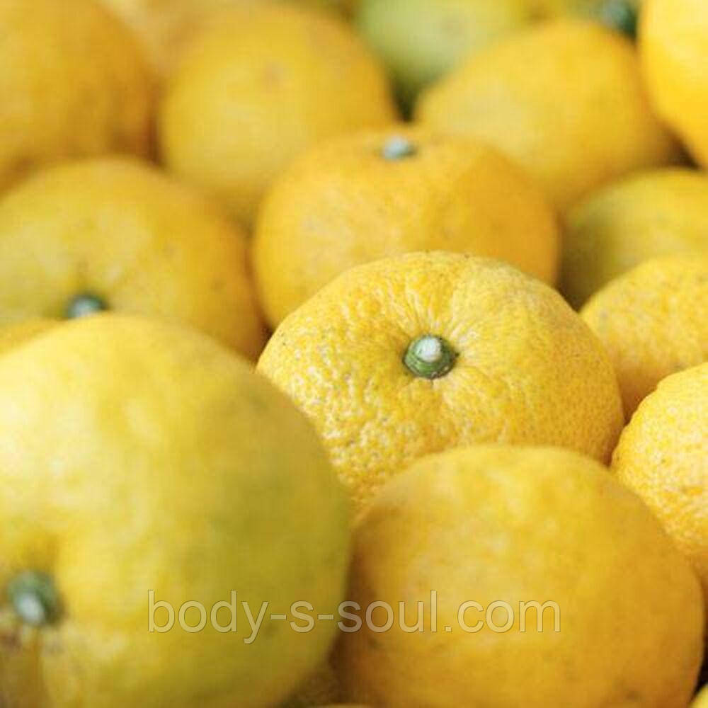 Косметична віддушка Юзу №84, про-ль США (Brambleberry), ваніль 0%