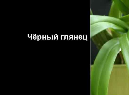 Плівка архітектурна "Black Out", фото 1