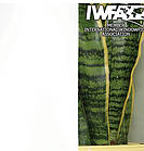 Плівка архітектурна "White Out"