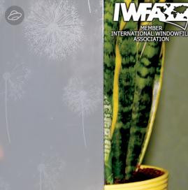 Плівка архітектурна Кульбаби, фото 1