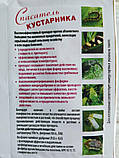 Інсекто-фунгіцид Рятувальник Чагарнику (ягоди) 3в1, фото 5