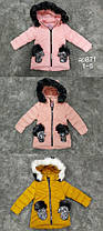 Дитячі зимові куртки для дівчаток Рукавичка. Угорщина. 1-4 років.