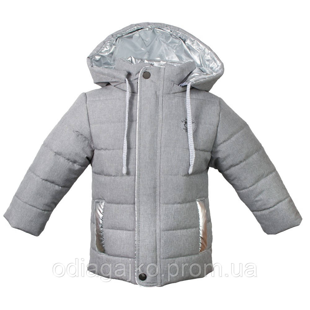 Куртка дитяча демісезонна для хлопчика Фіксики сіра + срібло весна/осінь 80,86,92 см