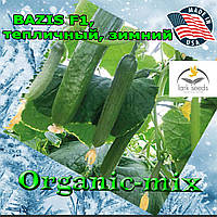 Огірок для зимових теплиць БАЗИС F1 / BAZIS F1, паковання 100 насіння, Lark Seeds (США)