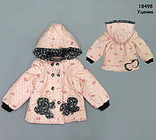 Уцінка - Демісезонна куртка для дівчинки. 2, 4 роки