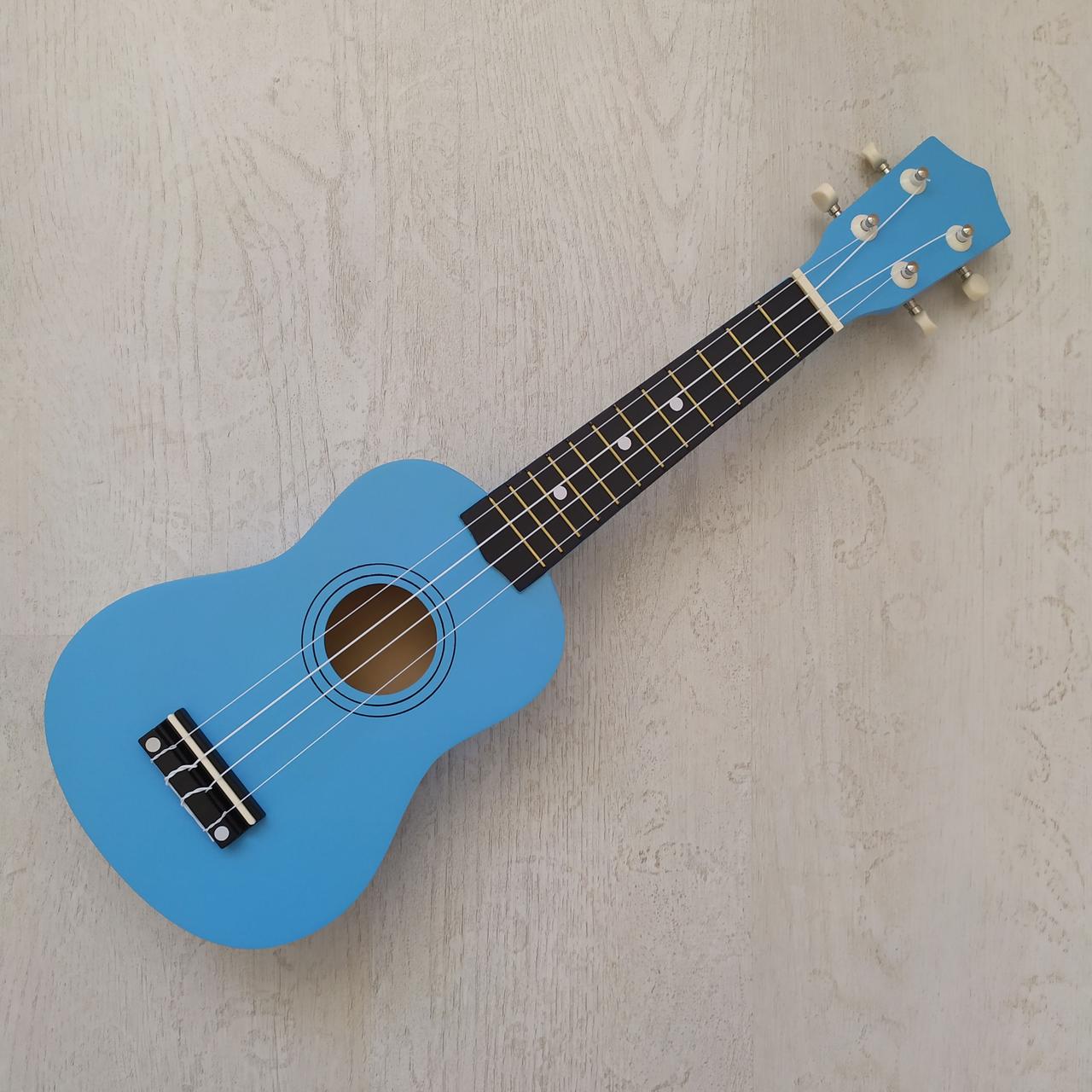 Укулеле сопрано 21" HM100-GB блакитний + медіатор, фото 1
