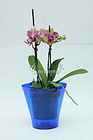 Кашпо для орхідеї 130мм синій