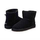 Жіночі натуральні замшеві уги з овчини (Classic mini Boot), фото 3