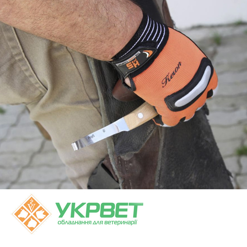 Купить Копытный нож Profi, правый в Украине (Киев, Харьков, Одесса ...