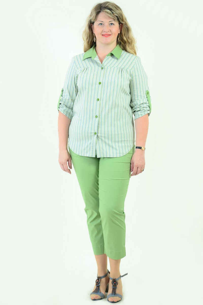 Блуза жіноча з бавовни стрейчева, бл 056-1,48-56