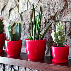 Горщик для квітів Магнолія, фуксія 120 мм