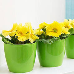 Горщик для квітів Магнолія, світло-зелений 120 мм