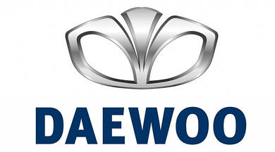 Автомобільні килимки для Daewoo
