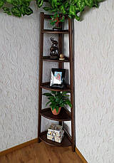 Дерев'яна підставка для квітів кутова Робін — 2" від виробника лісовий горіх, фото 2
