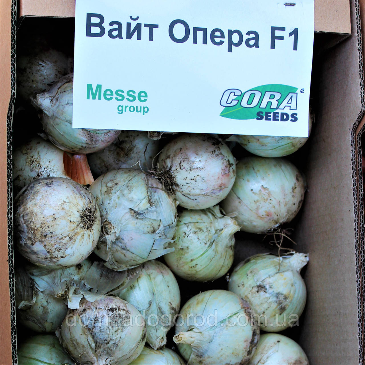 Лук ВАЙТ ОПЕРА F1 | WHITE OPERA  250000 Cora seeds