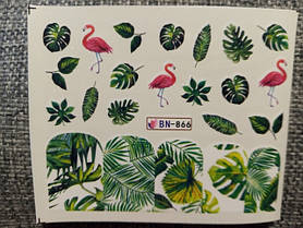 Тварини Птиці Пір'я