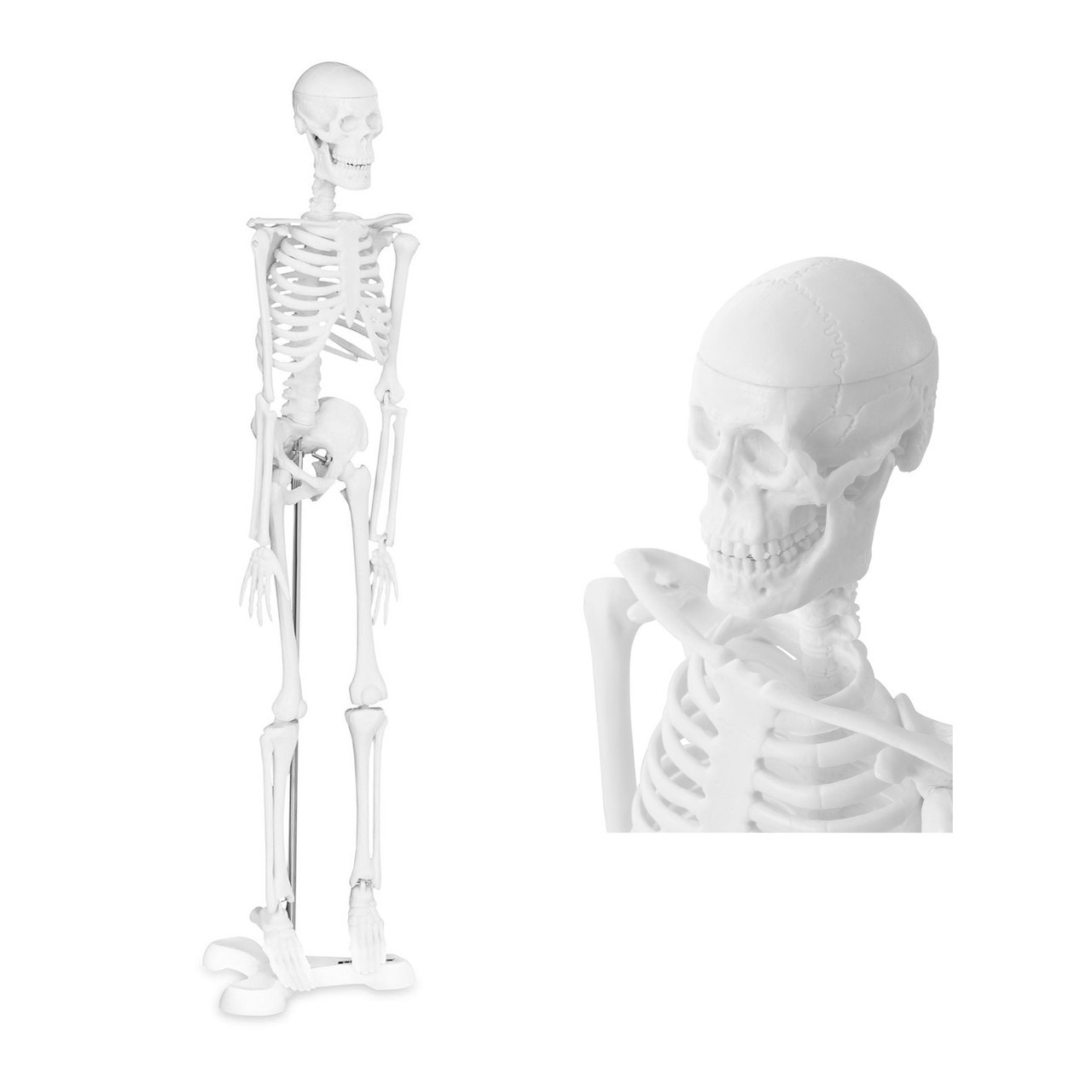 Анатомічна модель людського скелета 47 см