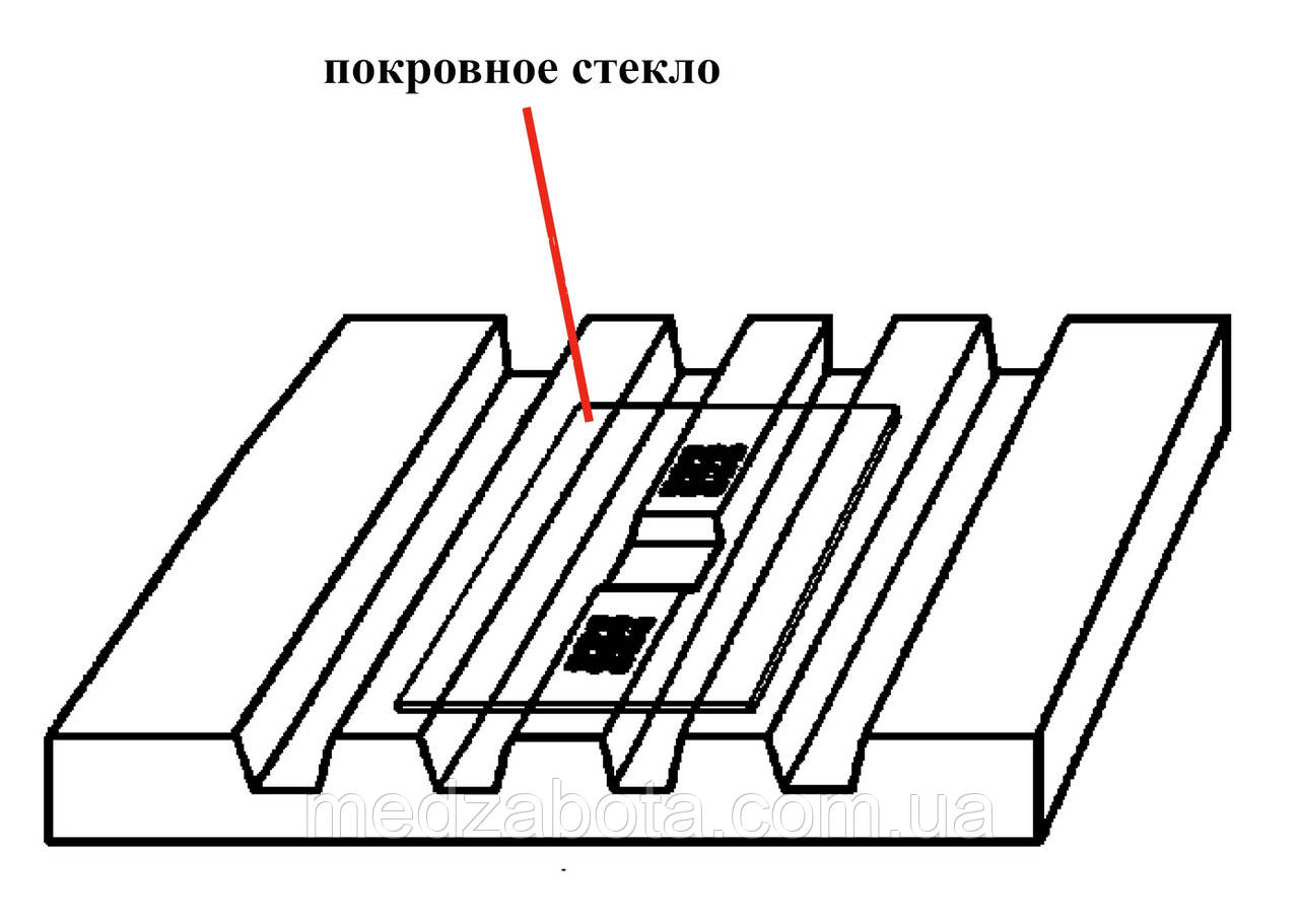 Покровне скло до камери Горяєва 21х31 (100 штук)