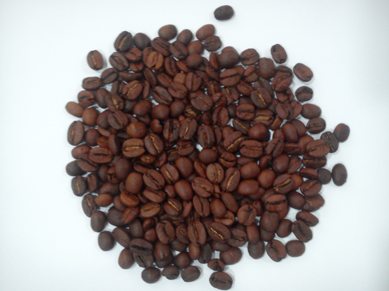Фирменный кофе Fidel mix - 1 кг, свежая обжарка зерно/молотый - фото 3 - id-p67445952