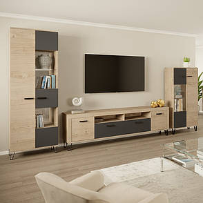 Модульна система для вітальні Ріо  Світ меблів, фото 1