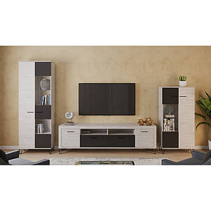 Модульна система для вітальні Ріо  Світ меблів, фото 2