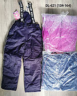 Полукомбинезон (лыжные штаны) для девочек оптом, Taurus, размеры 134-164р , арт. DL-621