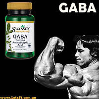 Swanson GABA підвищує гормон росту та тестостерон гама-аміномасляна кислота ГАМК для мозку 250мг 60 капсул