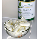 Swanson GABA підвищує гормон росту та тестостерон гама-аміномасляна кислота ГАМК для мозку 250мг 60 капсул, фото 2