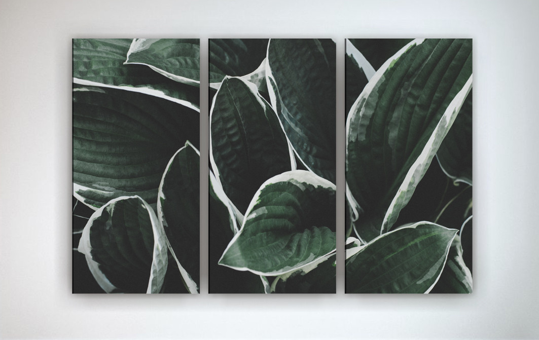 Модульна картина на полотні Листя VE