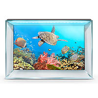 Наклейка с рыбами и морской флорой для аквариума 65х110 см.