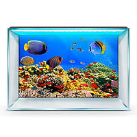 Наклейка морского дна с рыбами в аквариум 75х125 см.