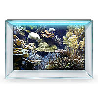 Флора морская наклейка в аквариум 55х90 см.