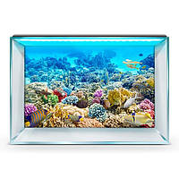 Морской мир под водой на наклейке для аквариума 50х85 см.