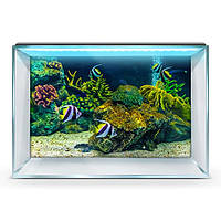 Наклейка с рыбами и морской флорой для аквариума 75х125 см.