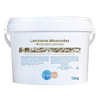 Micronised Laminaria Ламинария микронизированная водоросль (маска + пудра) ведро, 1500 г