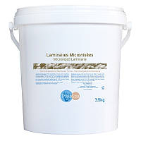 Micronised Laminaria Ламінарія мікронізована водорость (маска + пудра) відро, 3500 г