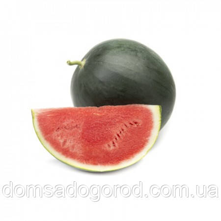 Кавун БАРОНЕССА F1 | BARONESA Rijk Zwaan 1000 шт