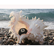 Постер AFG Profi 05072 50×70 см