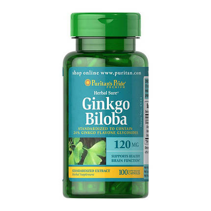 Екстракт Гінкго Білоба Puritan's Pride Ginkgo Biloba 120 mg 100 caps, фото 1