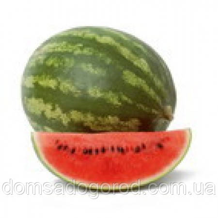 Кавун КОЛУМБІЯ F1  |  COLUMBIA Rijk Zwaan 100 шт.