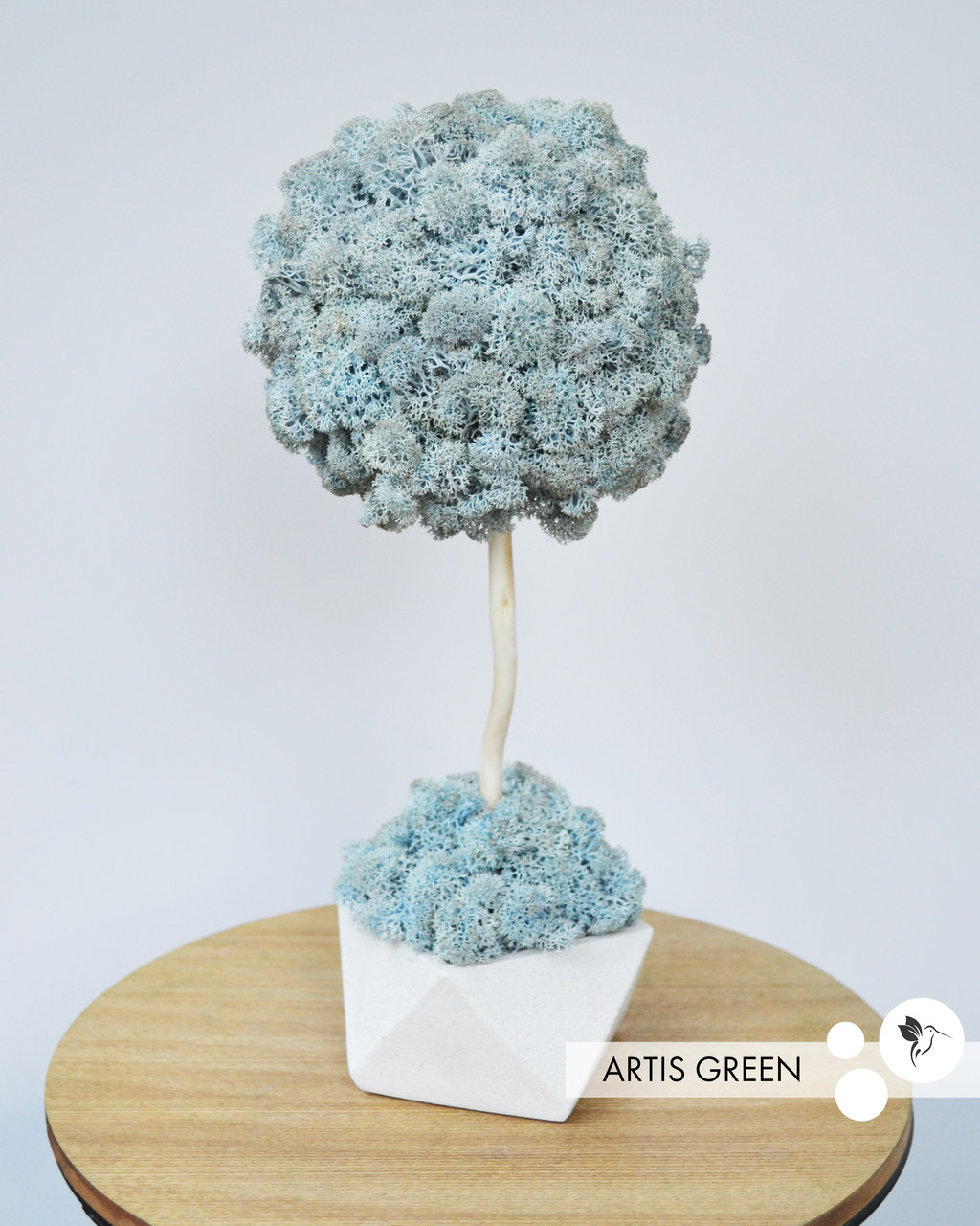 Декоративне дерево з справжнім мохом Fresh Sky, топіарій 30 cm, T27