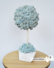 Декоративне дерево з справжнім мохом Fresh Sky, топіарій 30 cm, T27