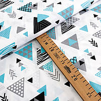 ΠΠΎΠ»ΡΡΡΠΊΠ° Π±ΡΠ·Ρ "Π’ΡΠΈΠΊΡΡΠ½ΠΈΠΊΠΈ Π² ΡΠΎΠ·ΡΠΈΠΏΡ ΡΠΎΡΠ½ΠΎ-Π±Π»Π°ΠΊΠΈΡΠ½Ρ", ΡΠΎΡΠΎ 2