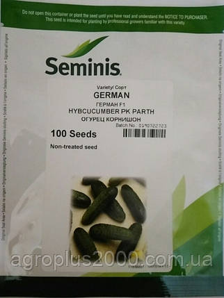 Насіння Огірок самозапильний Герман F1, 100 насінин Seminis, фото 1