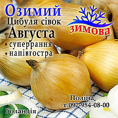 Цибуля сіянка озима Августа (Augusta), Голландія, 1 кг