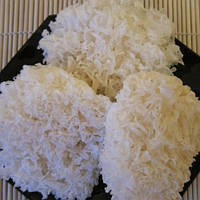 Коралловый гриб, снежный гриб NAM TUYET (Вьетнам), 100 гр