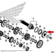 TF1370.15RB Зірка провідна з демпфером 15 зубів для Honda CB650F / CBR650F аналог Sunstar SS 41115, фото 4