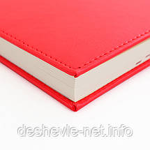 Щоденник датований А5 Leo Planner "Persona", фото 4
