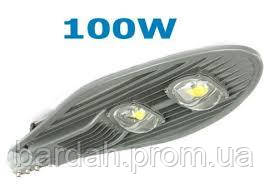 Светильник уличный светодиодный 100W с двумя линзами Кобра LED - фото 1 - id-p43201974