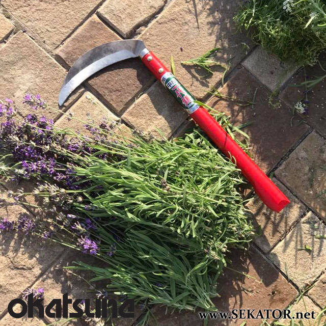 Қожайын құлдық жыныстық қатынасты жазалайды